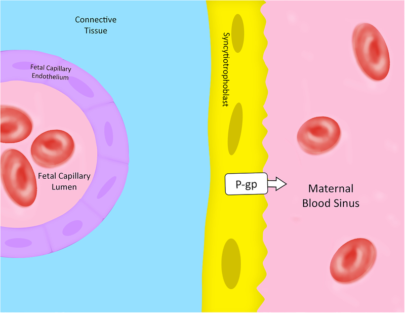 Figure 3: