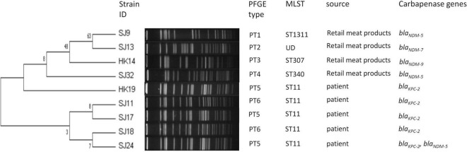 FIGURE 2