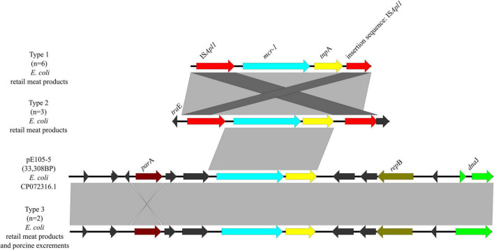 FIGURE 9