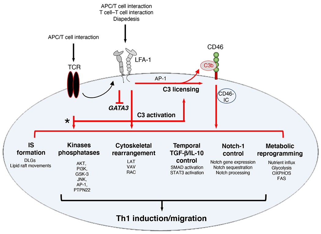 Figure 3: