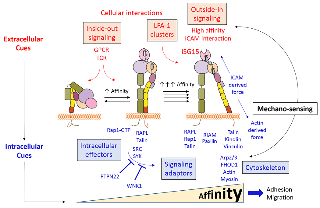 Figure 1: