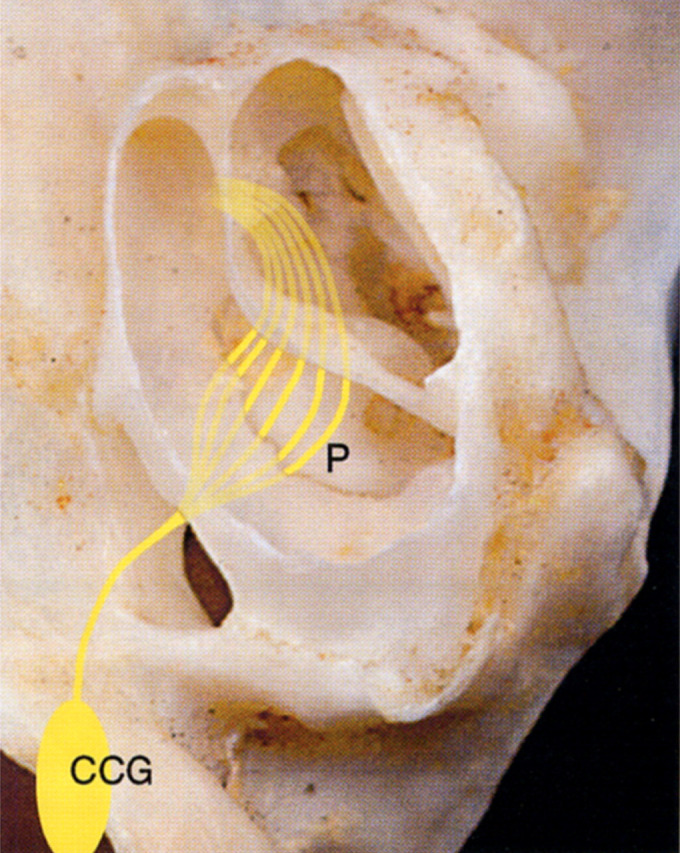 Fig 6.