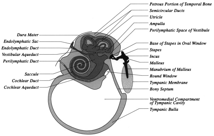 Fig 8.