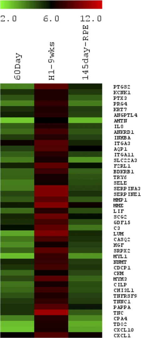 Figure 7.