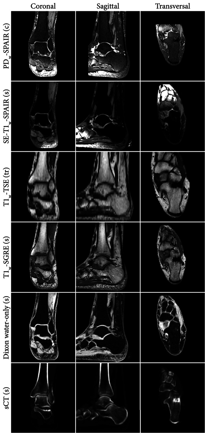 FIGURE 2