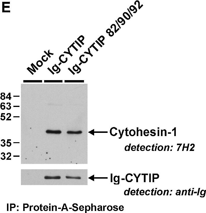 graphic file with name cdg101f6b.jpg