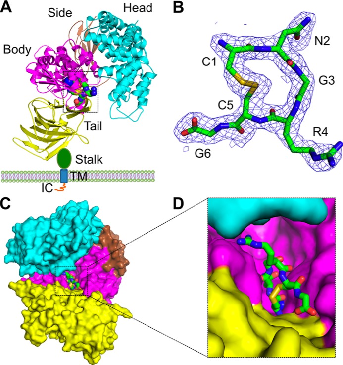 FIGURE 1.