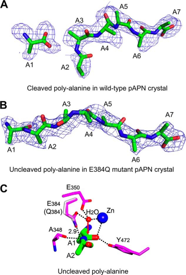 FIGURE 3.