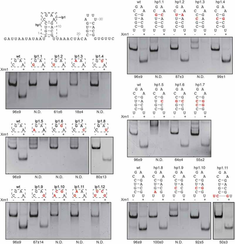 Figure 4.