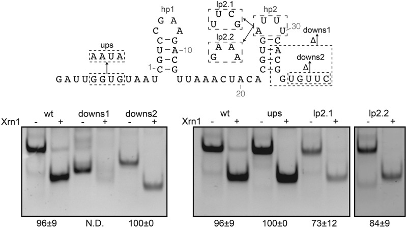 Figure 2.