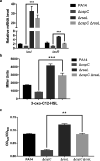 FIG 4