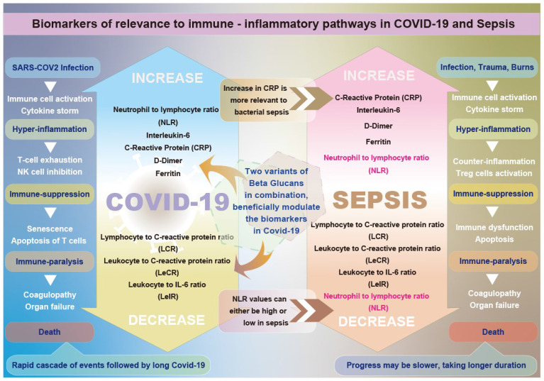 Graphical Abstract