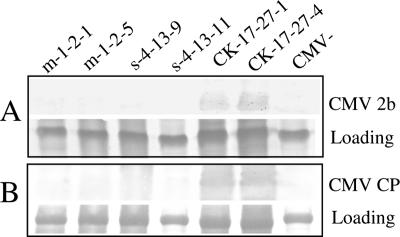 FIG. 6.