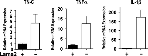 Figure 5.