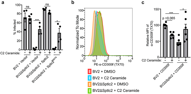 Figure 4: