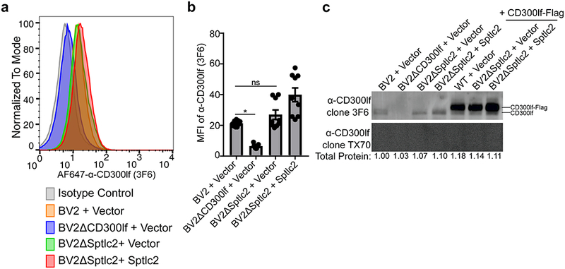 Figure 2: