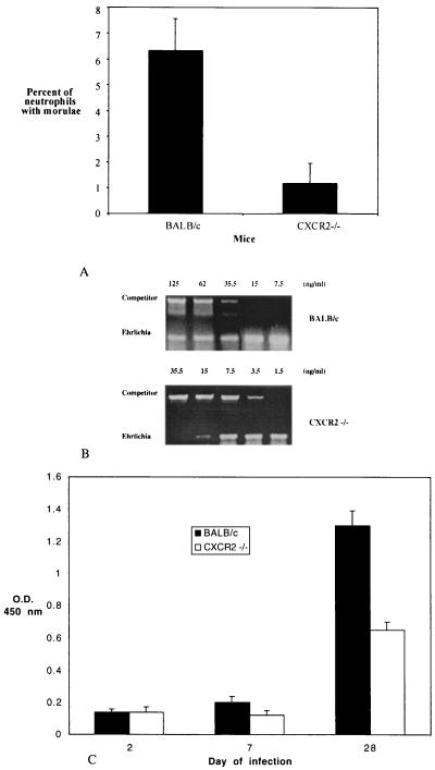 FIG. 8