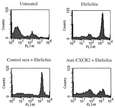 FIG. 11