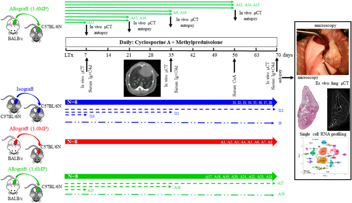 Figure 1