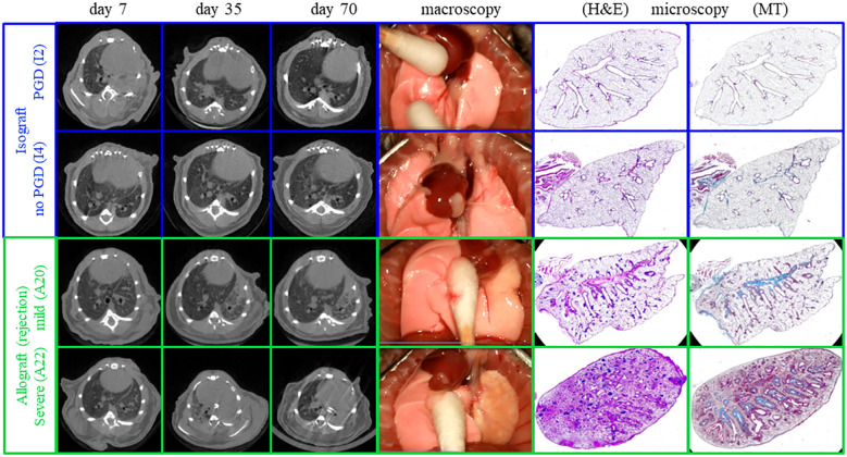 Figure 6