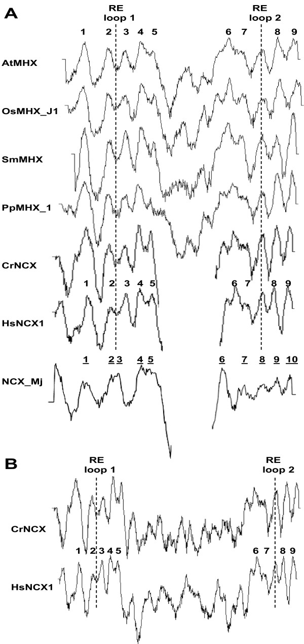 Figure 5