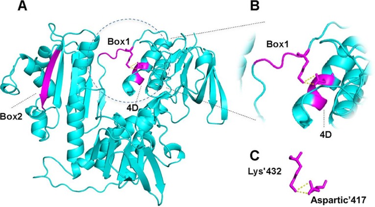 FIG 1