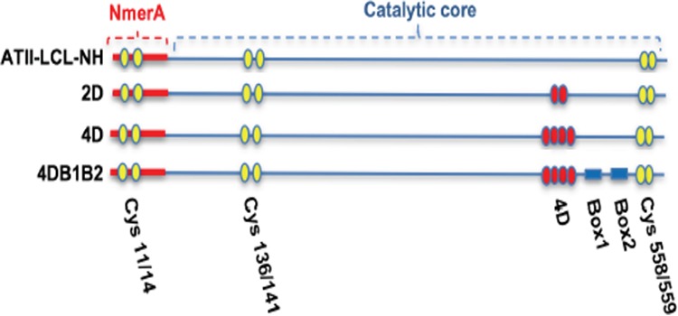 FIG 3