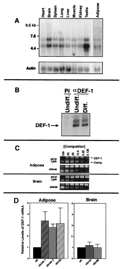 FIG. 6