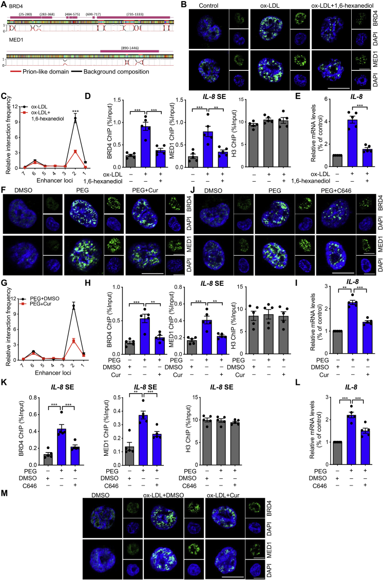 Figure 6