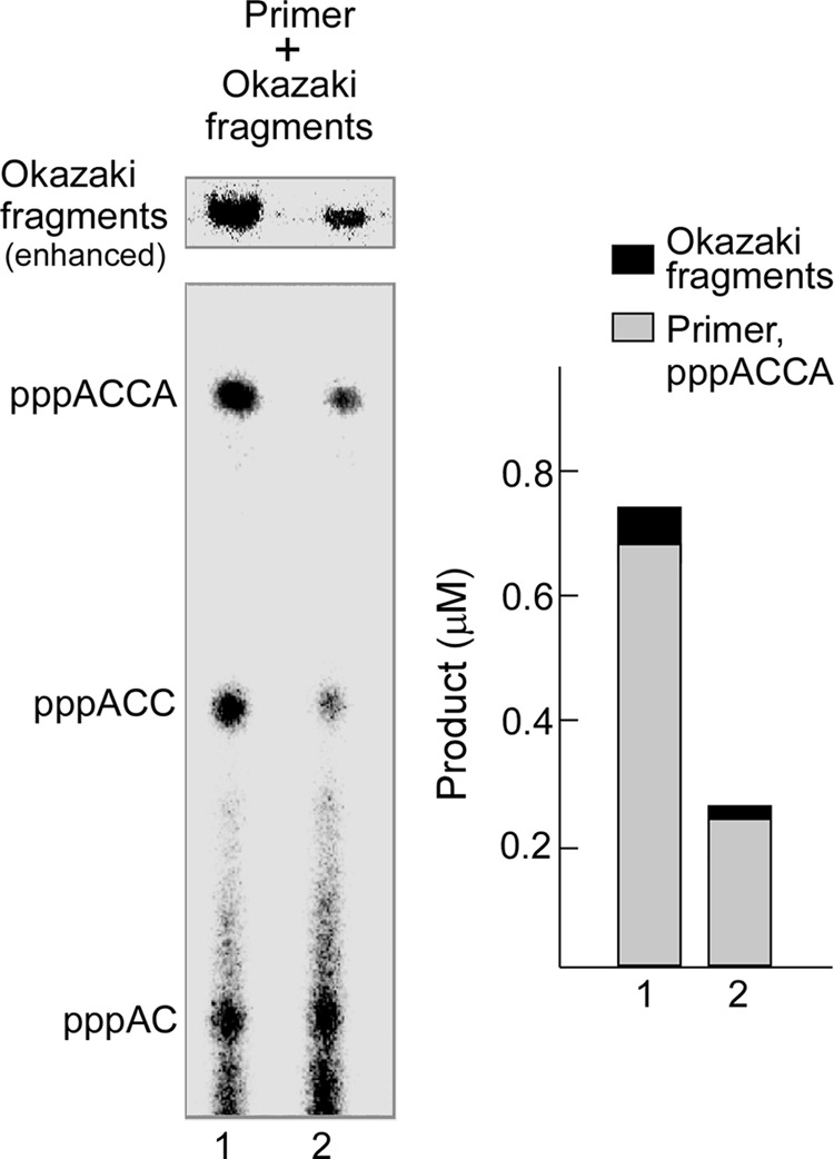 FIGURE 11.