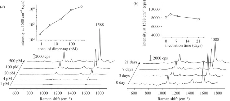 Figure 5.