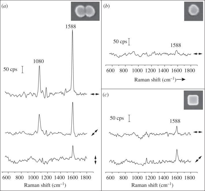 Figure 3.