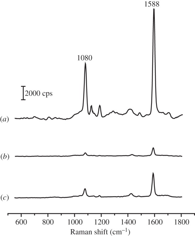 Figure 4.