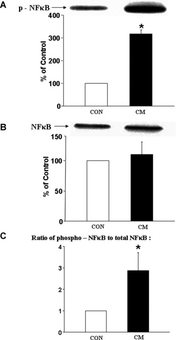 Fig 5