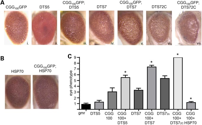 Figure 1.