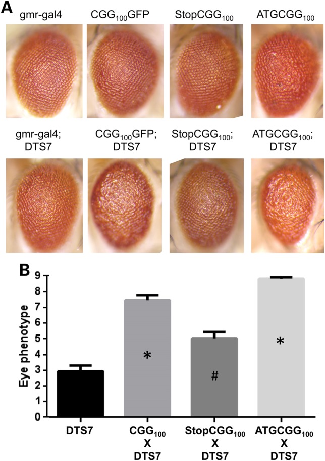 Figure 3.