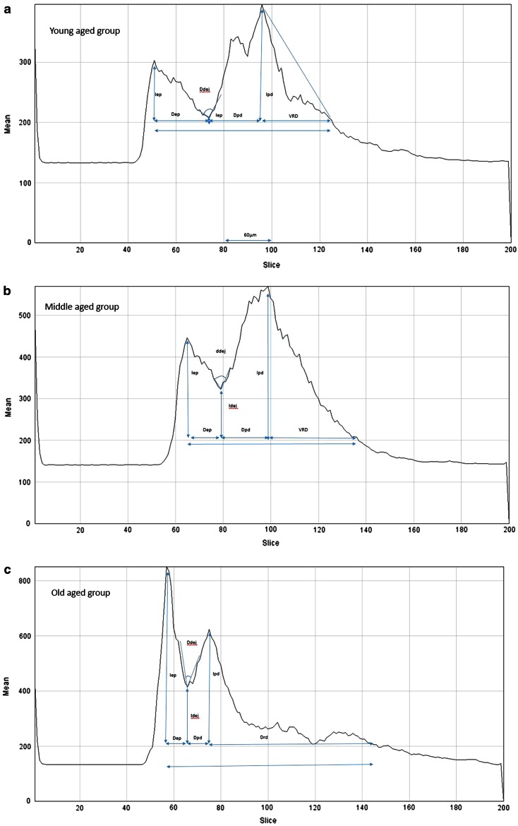 Fig. 6