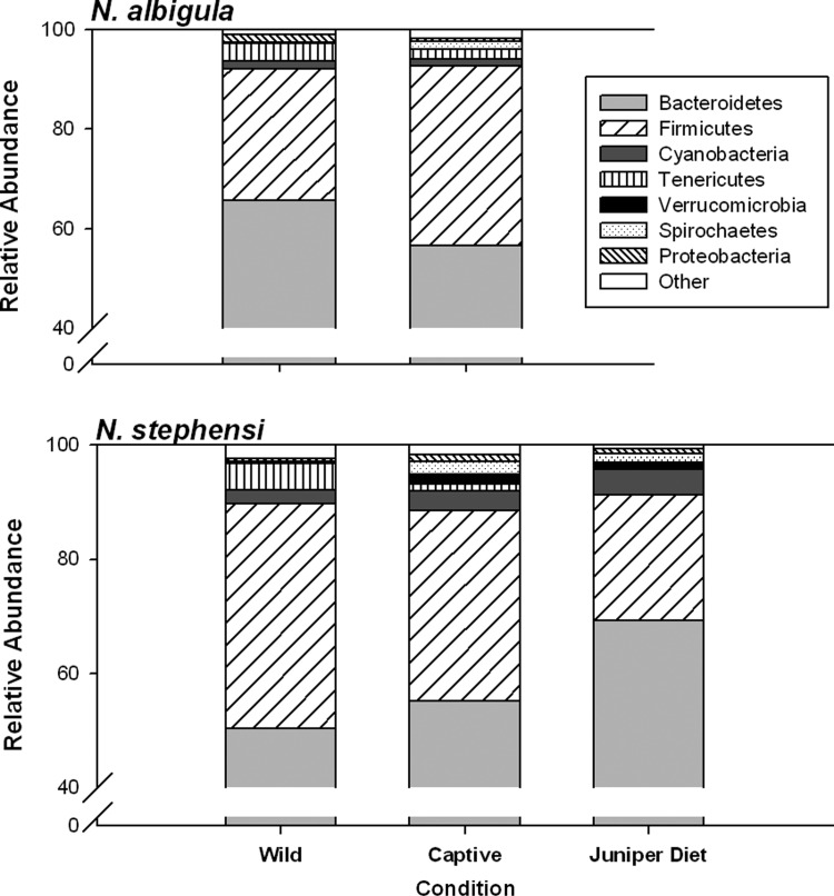 Figure 4: