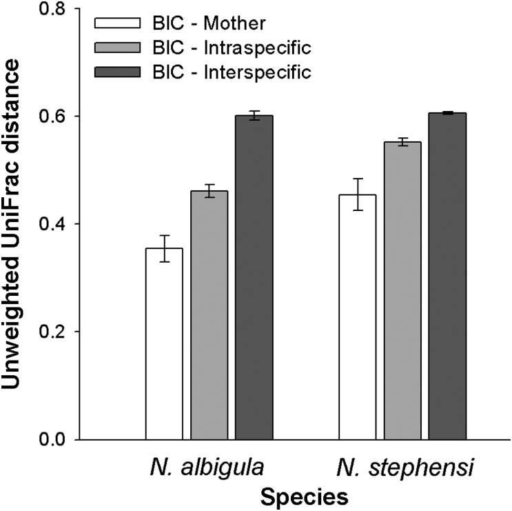 Figure 5: