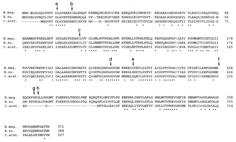 FIG. 7