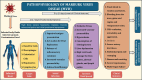 The etiopathogenesis of Marburg virus infection follows presentation of non specific systemic signs and symptoms making the possibility of a routine diagnosis if these infections more difficult