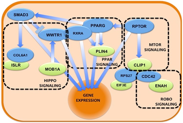 Fig 6