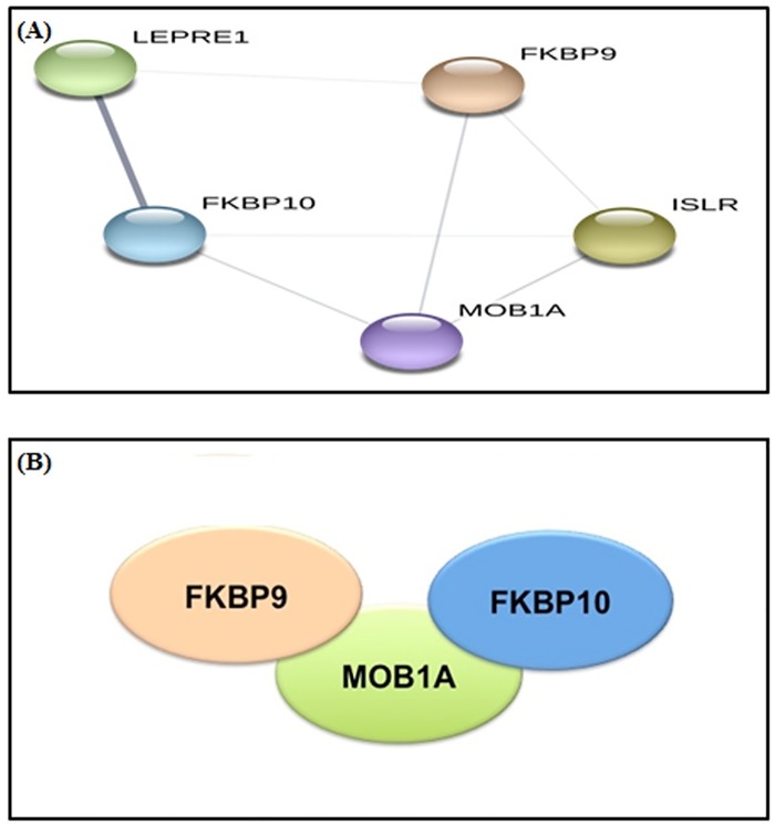 Fig 5