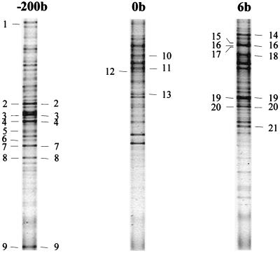 FIG. 5