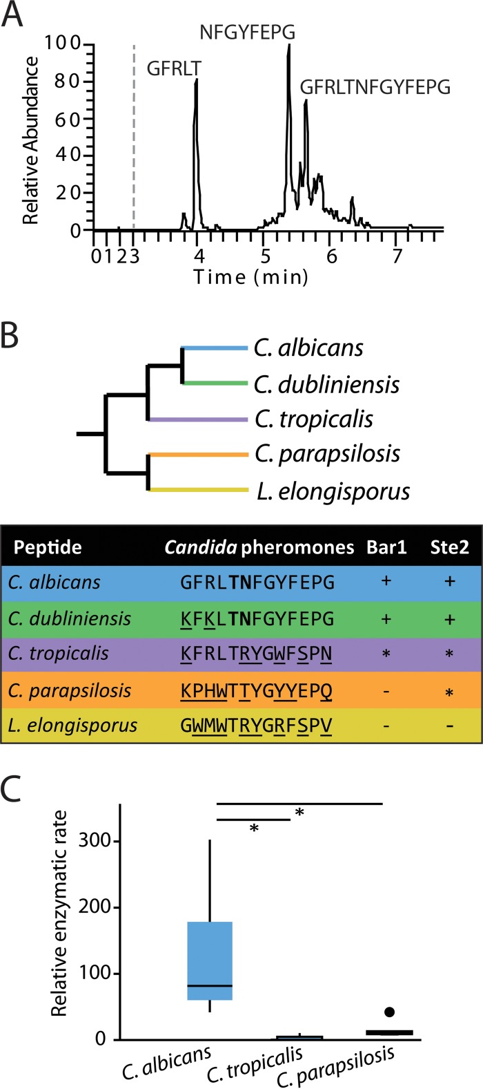 FIG 3 