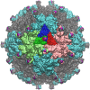 Fig 8