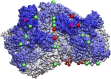 Fig 11