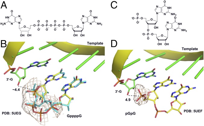 Fig. 4.