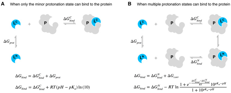 Figure 11.