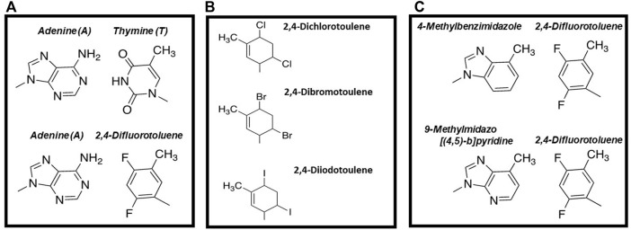 FIGURE 2